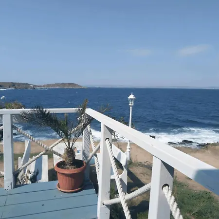 Paradise червенка *