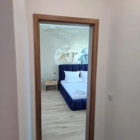 Paradise червенка * Черноморец