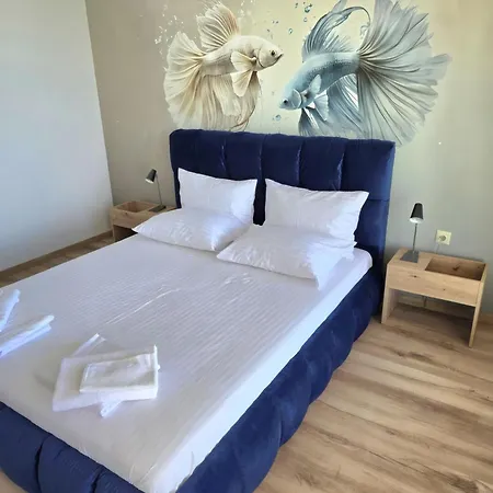 Paradise червенка